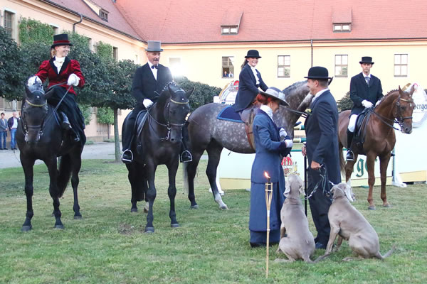 Musik und Hengste